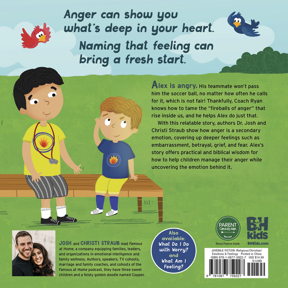 What Do I Do with Anger? by Broadman and Holman, product view 2