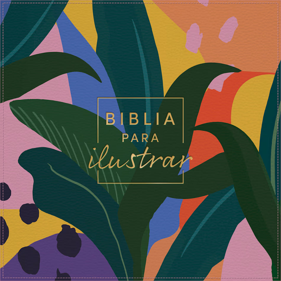 1960  Biblia para ilustrar (RVR)