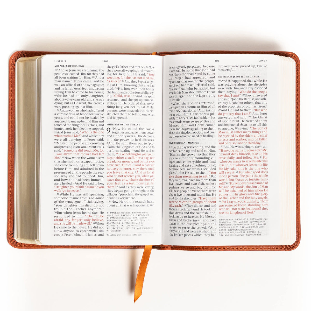 NASB Large Print Compact Reference Bible – Imitation Leather by Broadman and Holman, product view 2