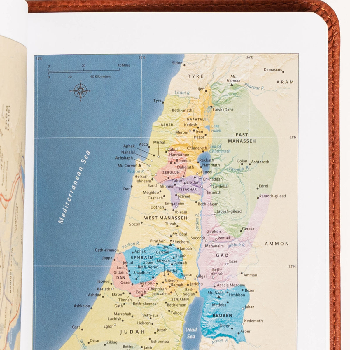 NASB Large Print Compact Reference Bible – Imitation Leather by Broadman and Holman, product view 3