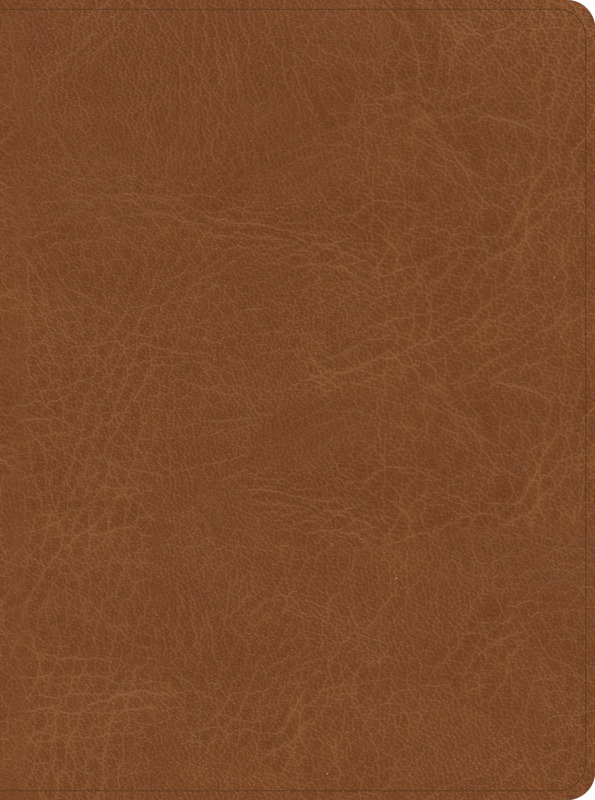 He Reads Truth Bible (CSB) by Broadman and Holman, product view 8