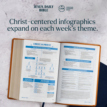 CSB Jesus Daily Bible, Hardcover by Broadman and Holman, product view 5
