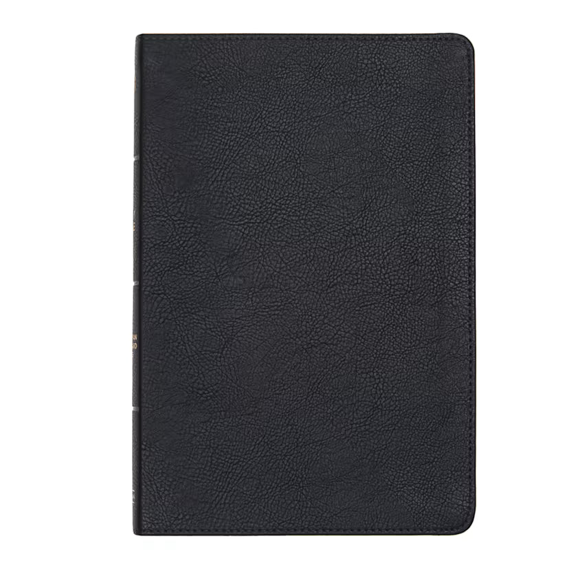 CSB Large Print Thinline Bible