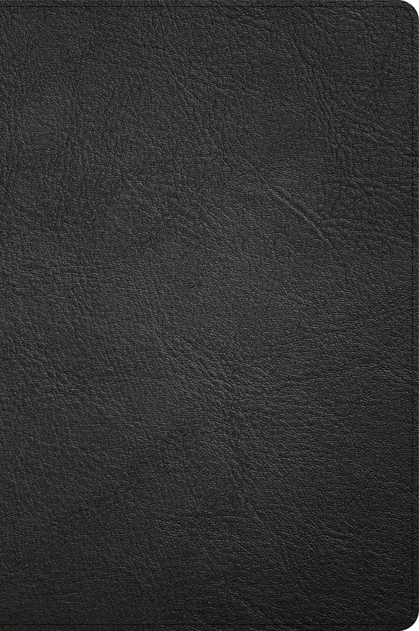 CSB Large Print Thinline Bible