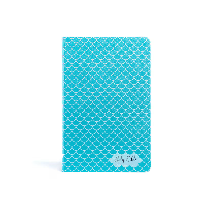 KJV Kids Bible, Thinline Edition