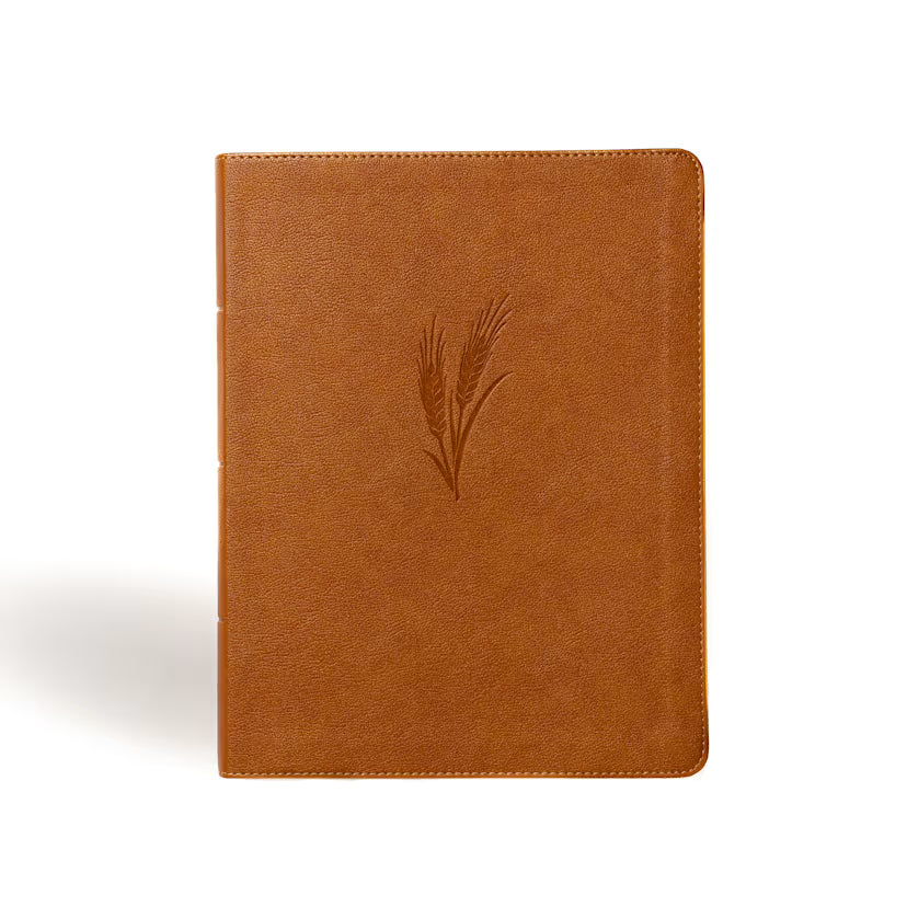 CSB Notetaking Bible, Large Print Edition