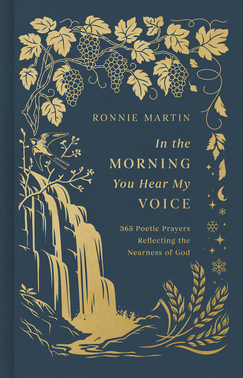 In the Morning You Hear My Voice: 365 Poetic Prayers Reflecting the Nearness of God
