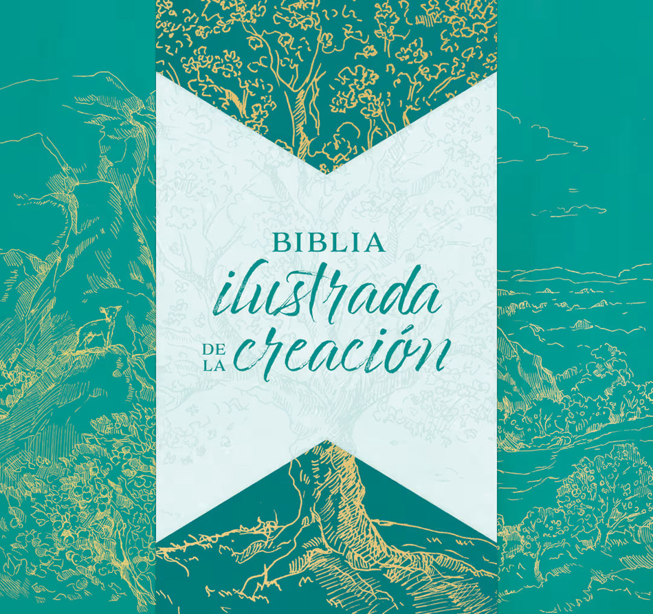 1960  Biblia  ilustrada de la creación (RVR) turquesa, tela