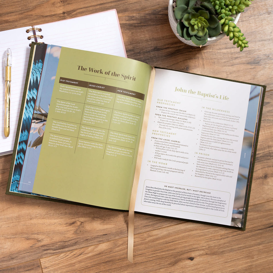 The New Testament Handbook, Sage Cloth Over Board by Broadman and Holman, product view 2