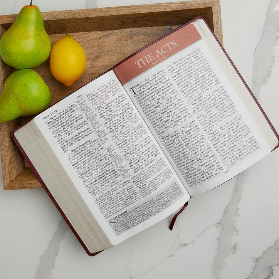 KJV Study Bible, Large Print, Red Letter Edition: Second Edition – Hardcover Large Print by HarperCollins, product view 2