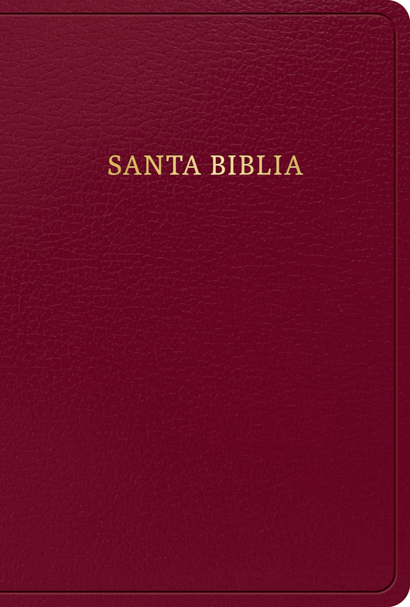 RVR 1960 Biblia letra grande tamaño manual, borgoña imitación piel con índice (Edición 2023)