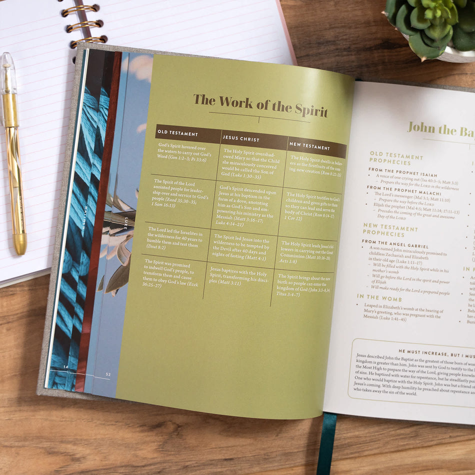 The New Testament Handbook, Stone Cloth Over Board by Broadman and Holman, product view 2