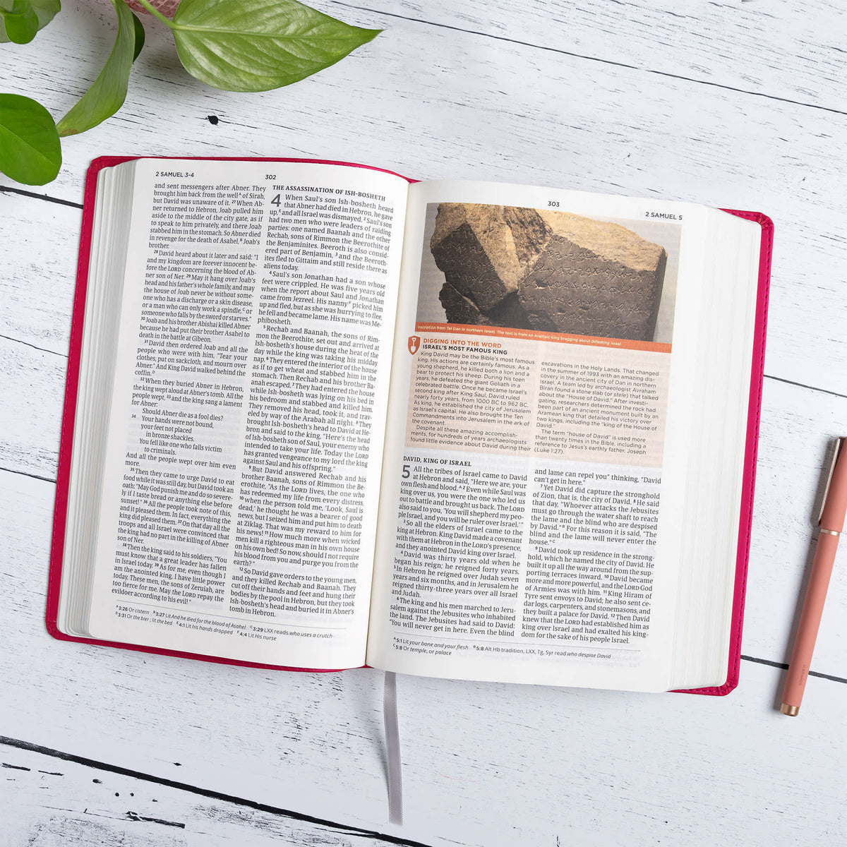 Defend Your Faith Bible (CSB) by Broadman and Holman, product view 4