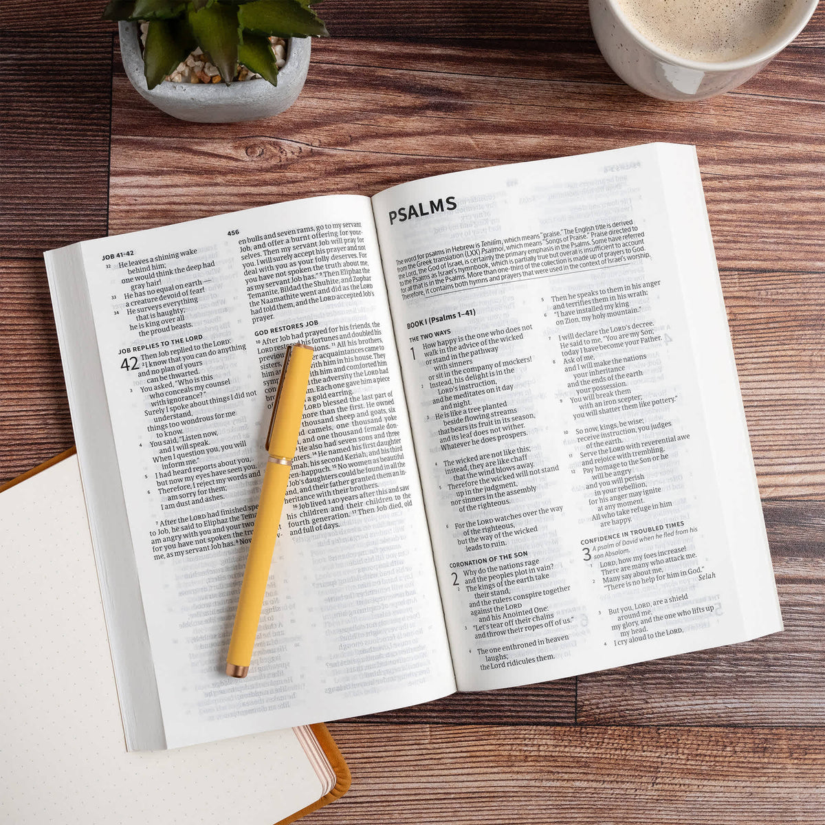 Here's Hope Bible (CSB) by Broadman and Holman, product view 4