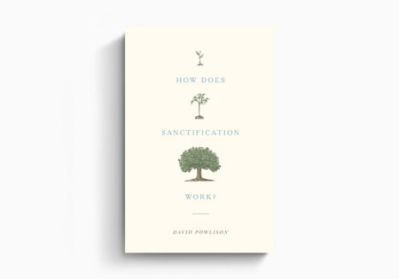 How Does Sanctification Work? by Crossway