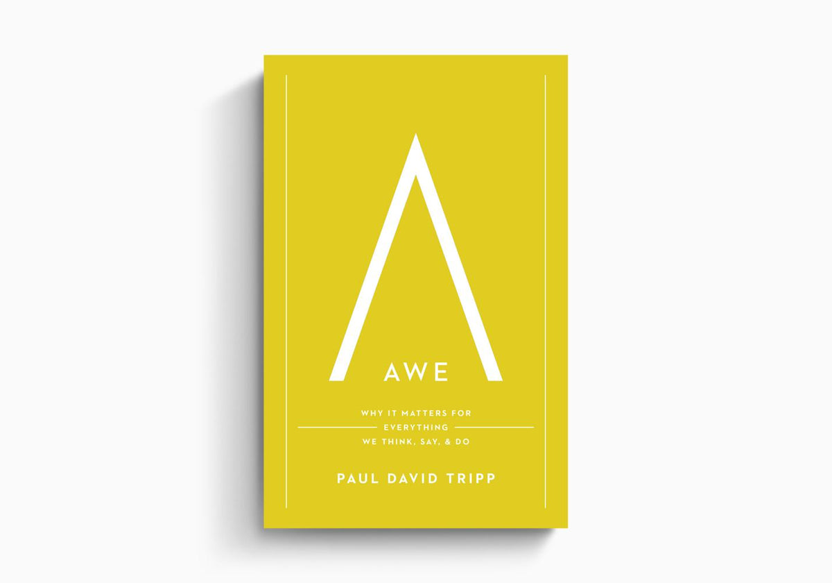 Awe: Why It Matters for Everything We Think, Say, and Do by Crossway