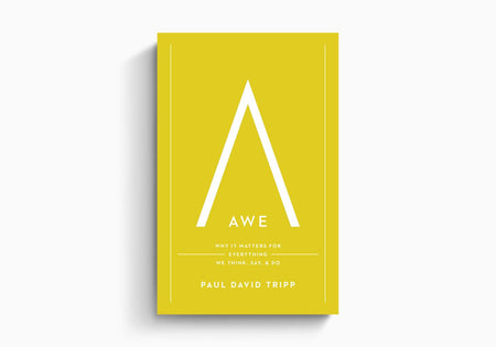 Awe: Why It Matters for Everything We Think, Say, and Do by Crossway