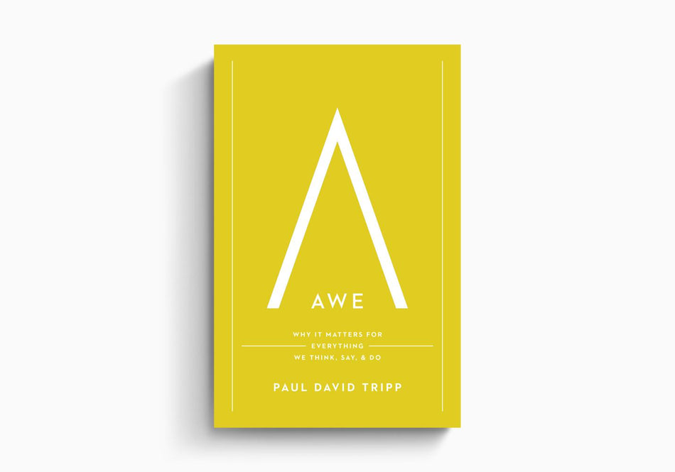 Awe: Why It Matters for Everything We Think, Say, and Do by Crossway