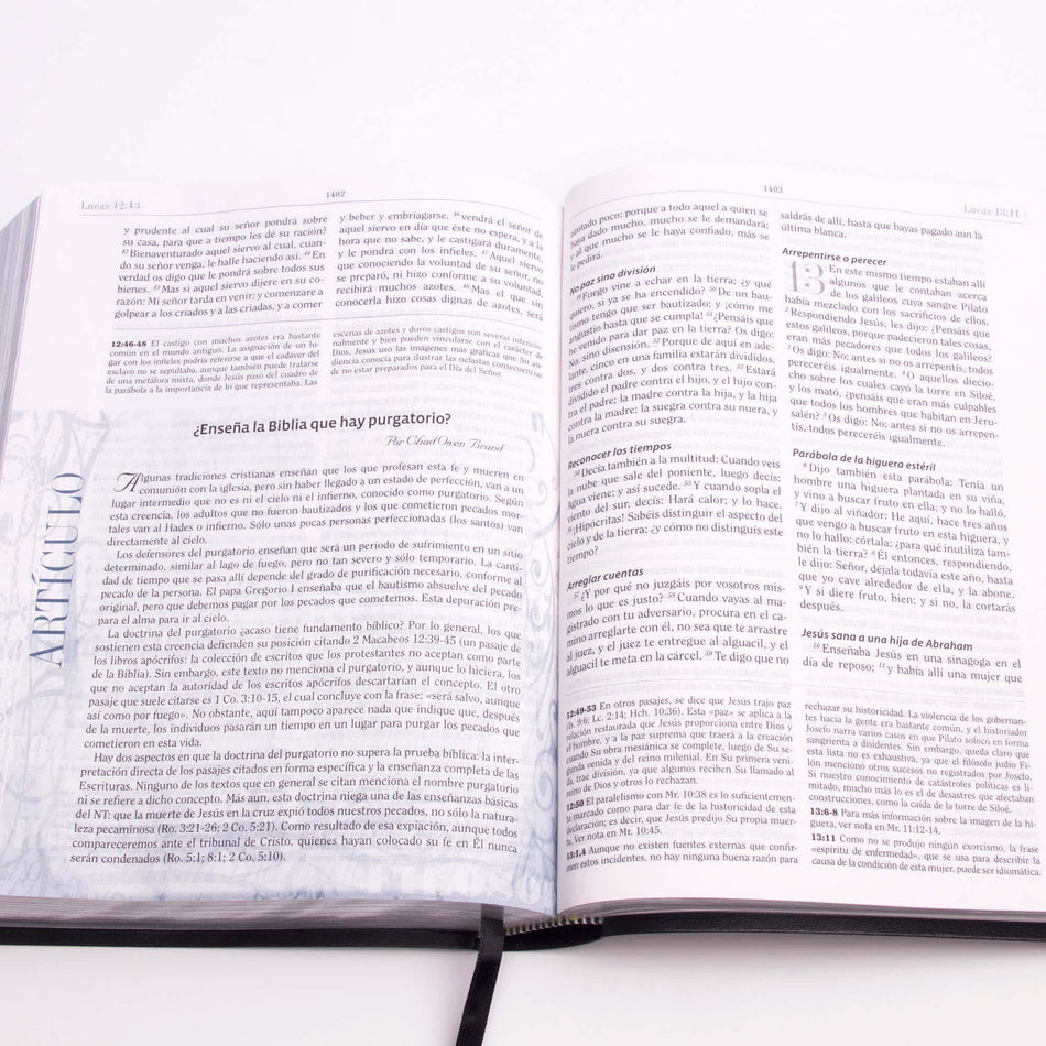 Biblia de Estudio de Apologética, negro imitación piel by Broadman and Holman, product view 2