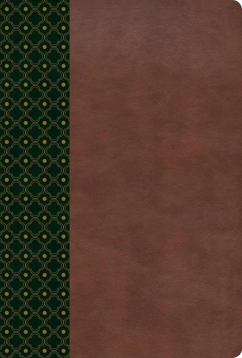 RVR 1960 Biblia de estudio Scofield