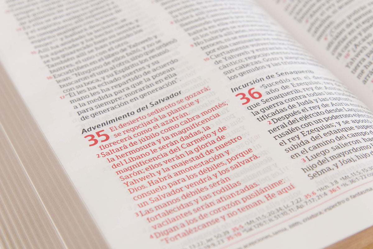 Biblia Peshitta, by Broadman and Holman, product view 3