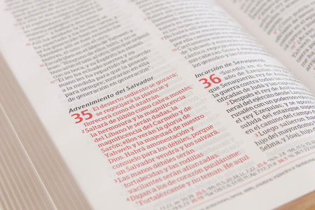Biblia Peshitta, by Broadman and Holman, product view 3