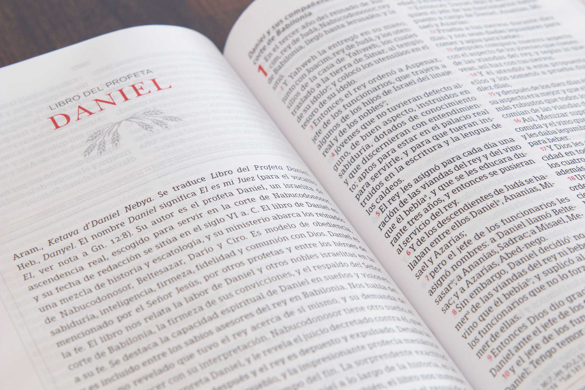 Biblia Peshitta, by Broadman and Holman, product view 5