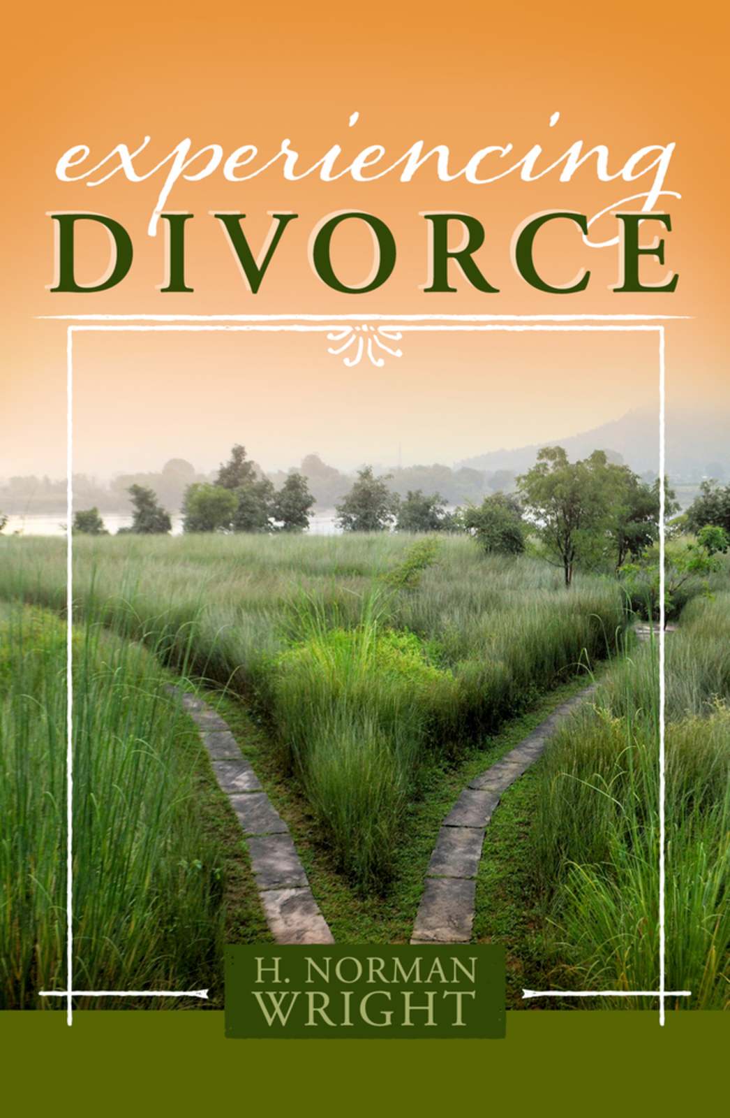 Experiencing Divorce by Broadman and Holman