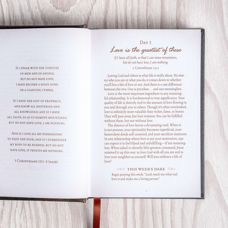 The Love Dare Day by Day by Broadman and Holman, product view 4