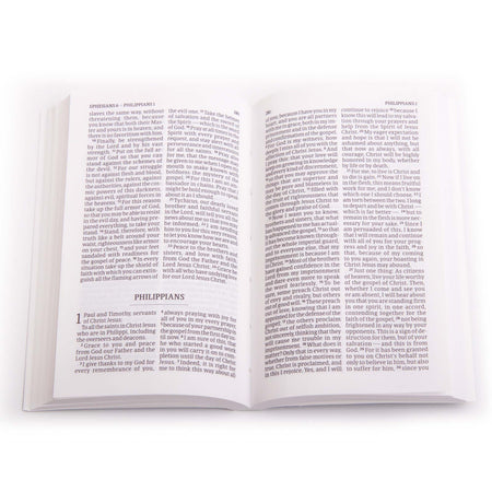 Pocket New Testament (CSB) with Psalms by Broadman and Holman, product view 7