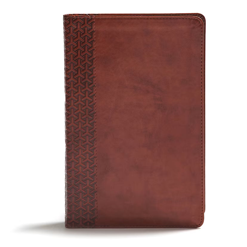 CSB Everyday Study Bible