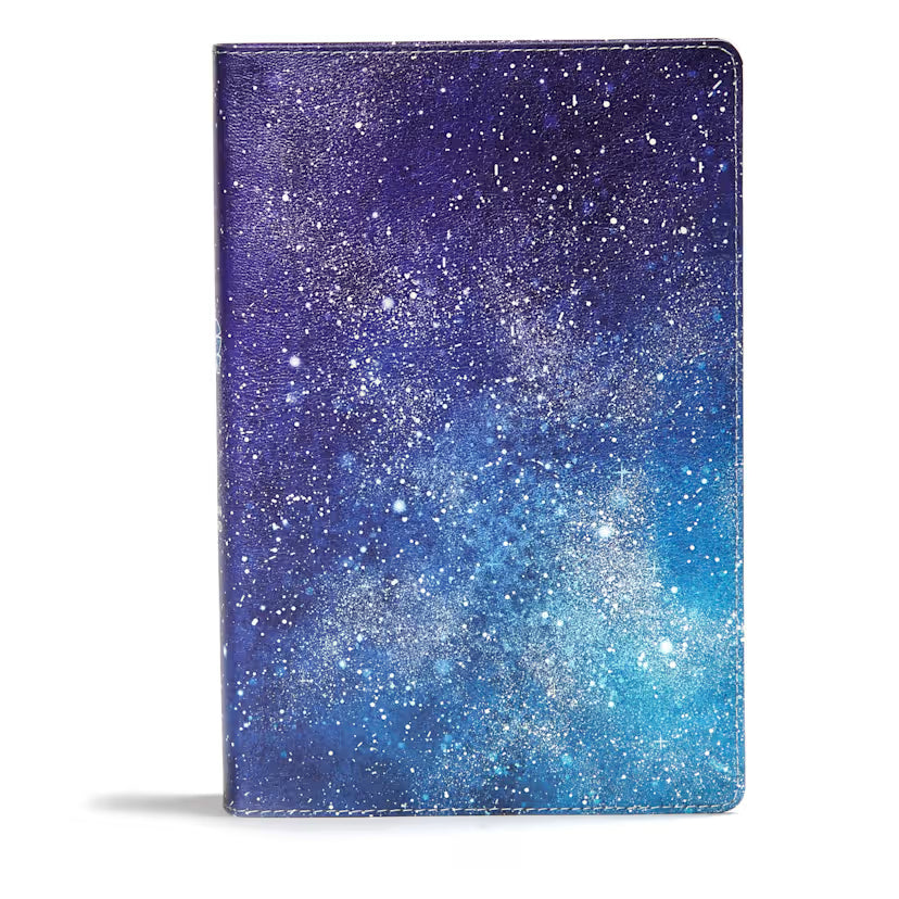 CSB One Big Story Bible