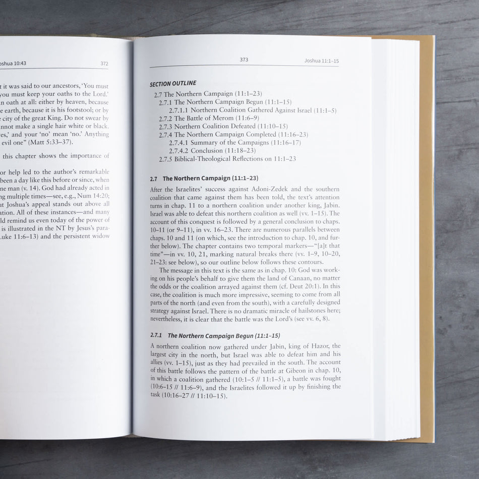 Joshua: The Christian Standard Commentary by Broadman and Holman, product view 2
