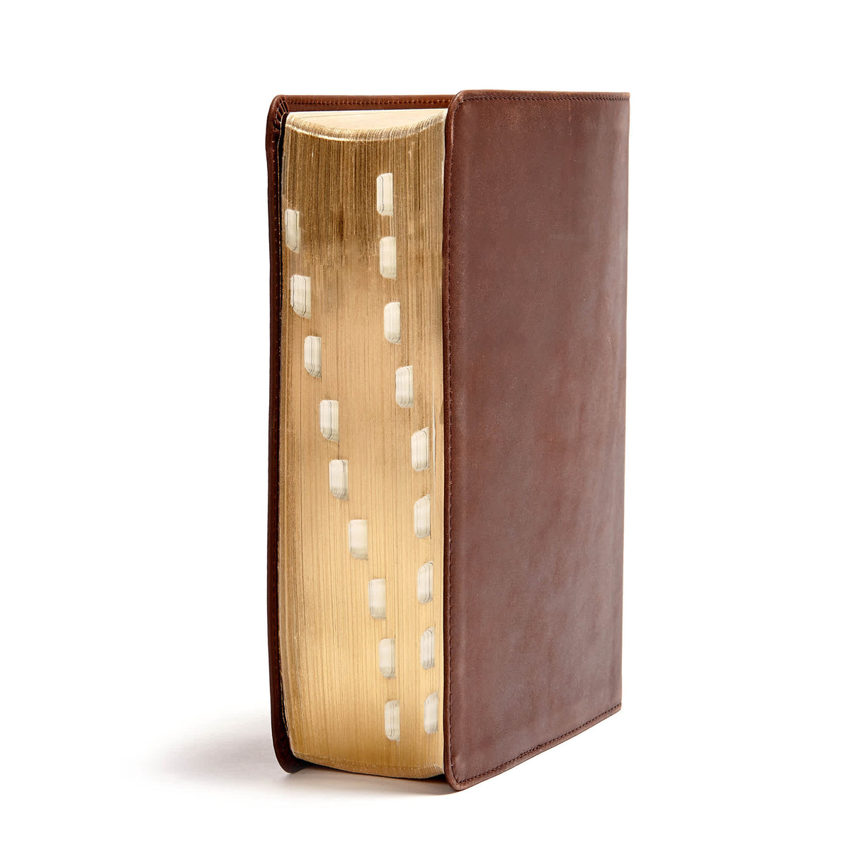 He Reads Truth Bible (CSB) by Broadman and Holman, product view 10