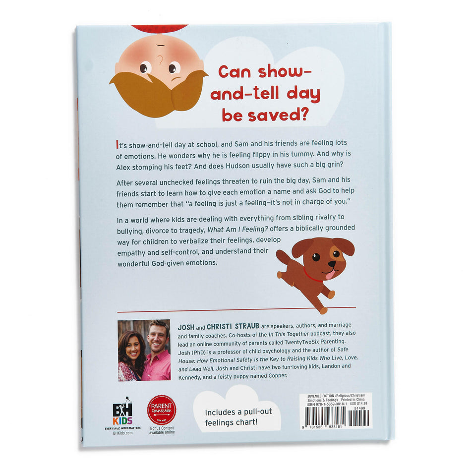 What Am I Feeling? by Broadman and Holman, product view 2