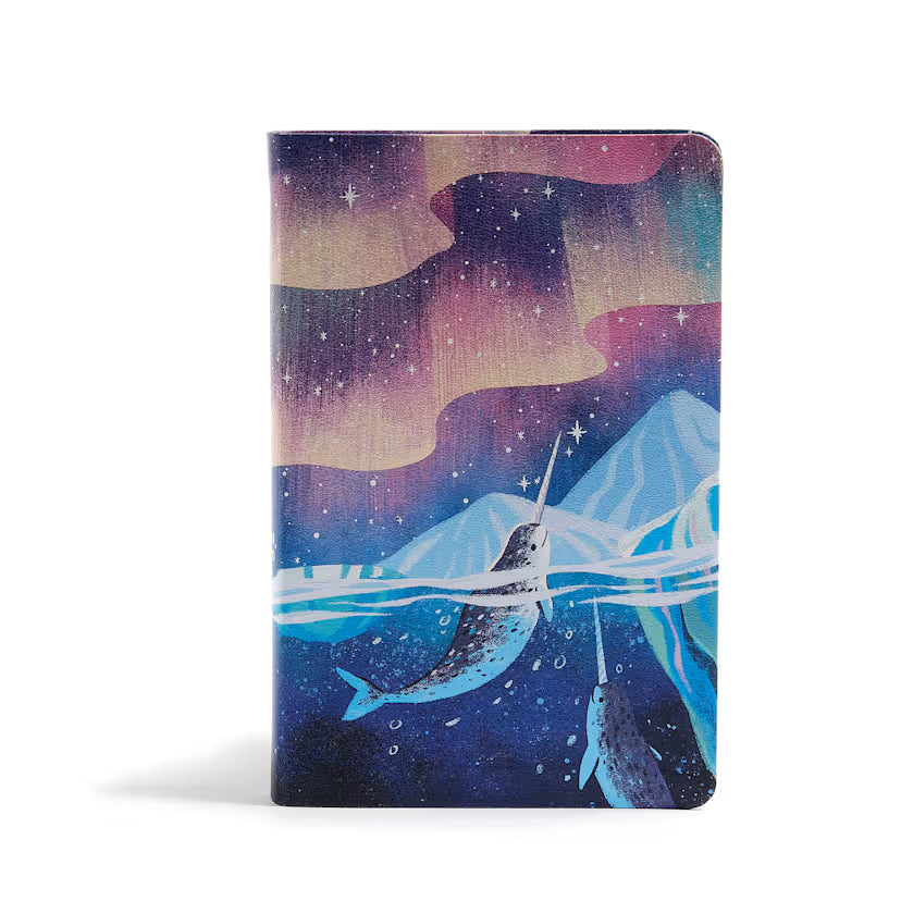 CSB Kids Bible  - Single or Case Quantity