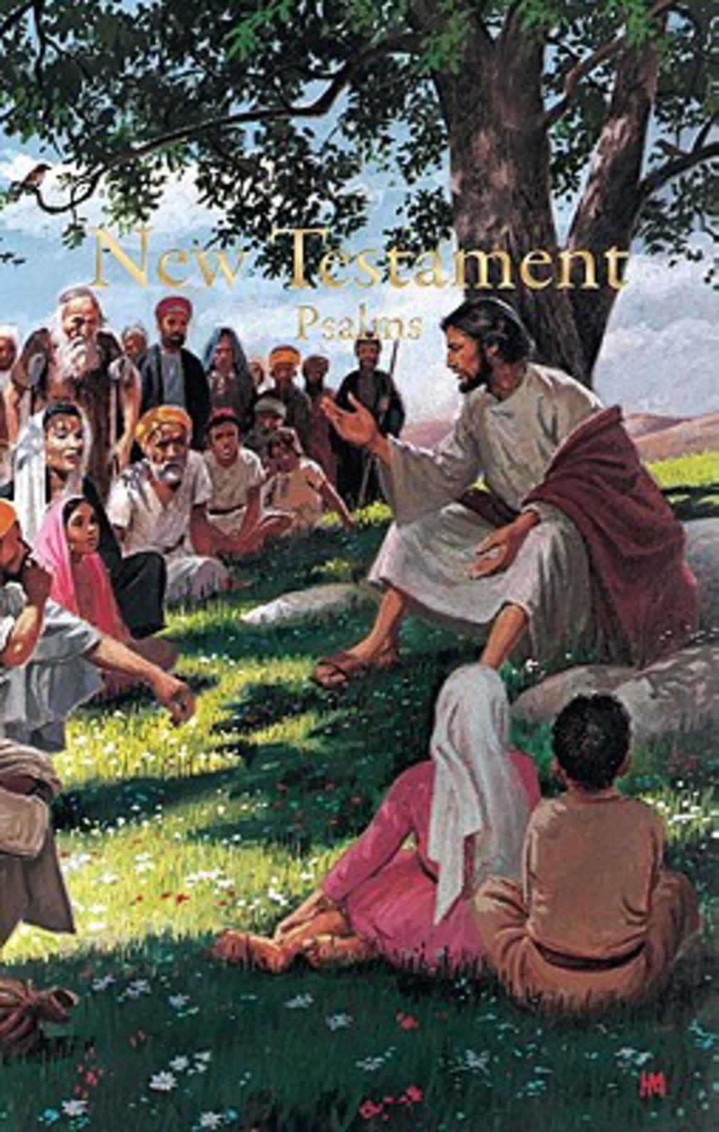 KJV Economy New Testament with Psalms, Illustrated Trade Paper - Single or Case Quantity by Broadman and Holman