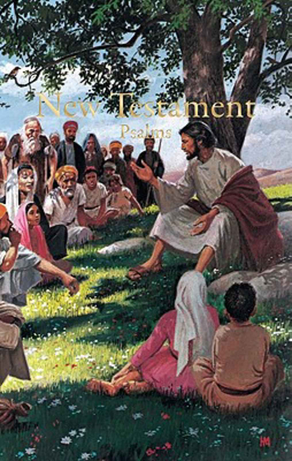 KJV Economy New Testament with Psalms, Illustrated Trade Paper - Single or Case Quantity by Broadman and Holman
