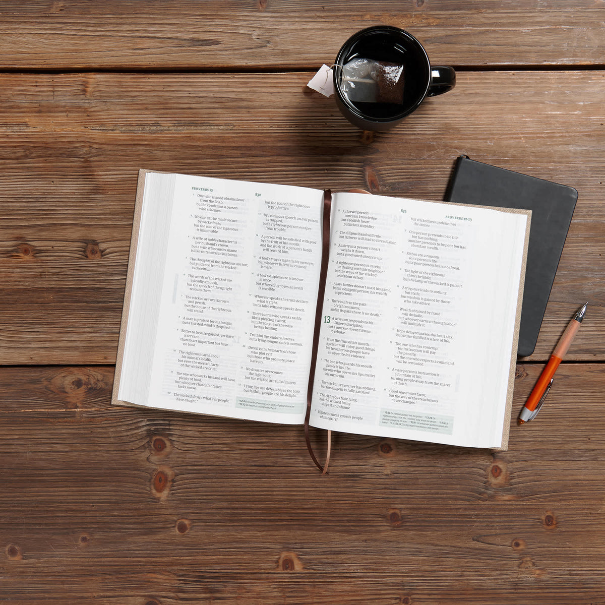 Spurgeon Study Bible (CSB) by Broadman and Holman, product view 6
