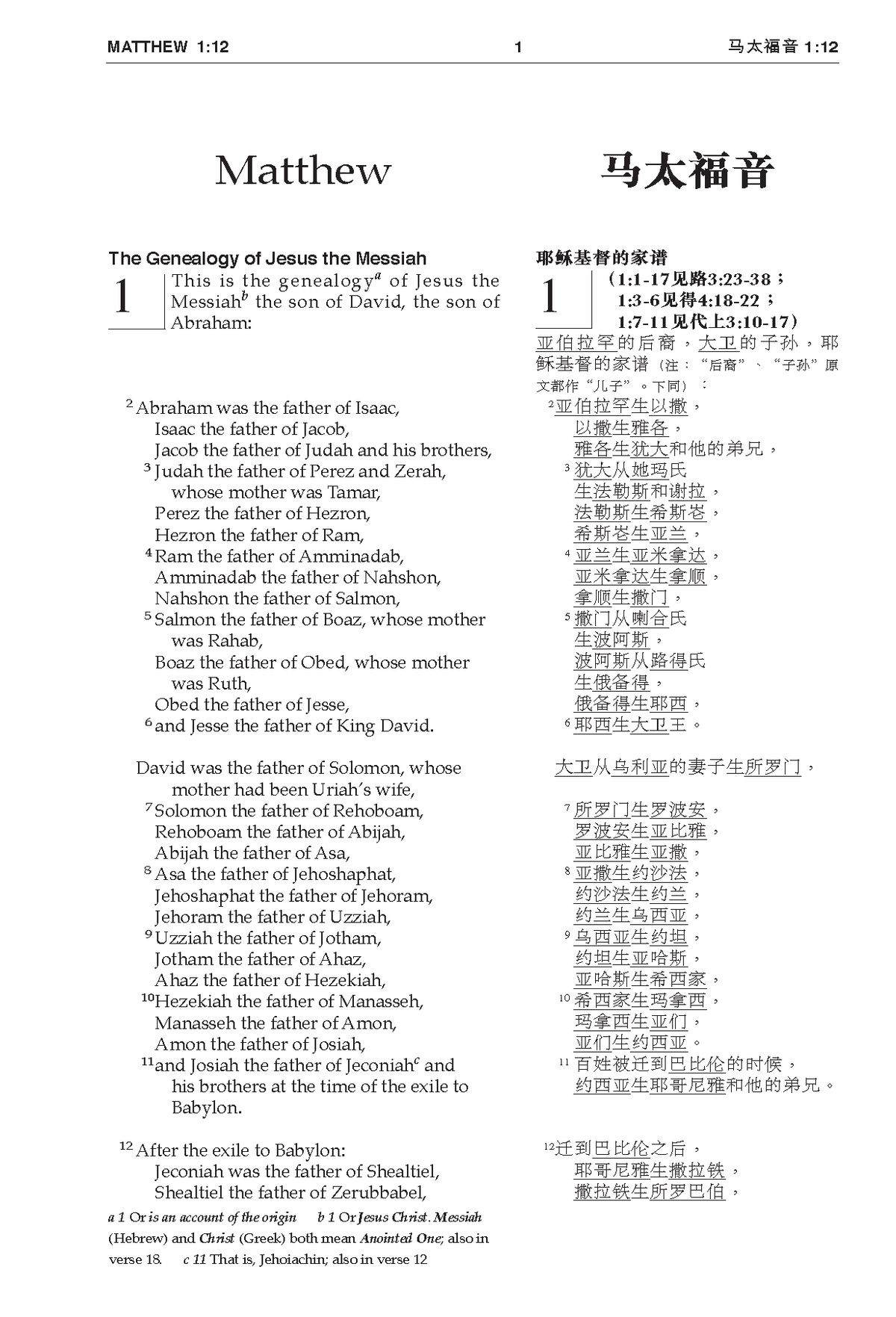 Chinese CUV (Simplified Script)/English NIV Bilingual New Testament, Paperback, Red (Bilingual edition), product view 3