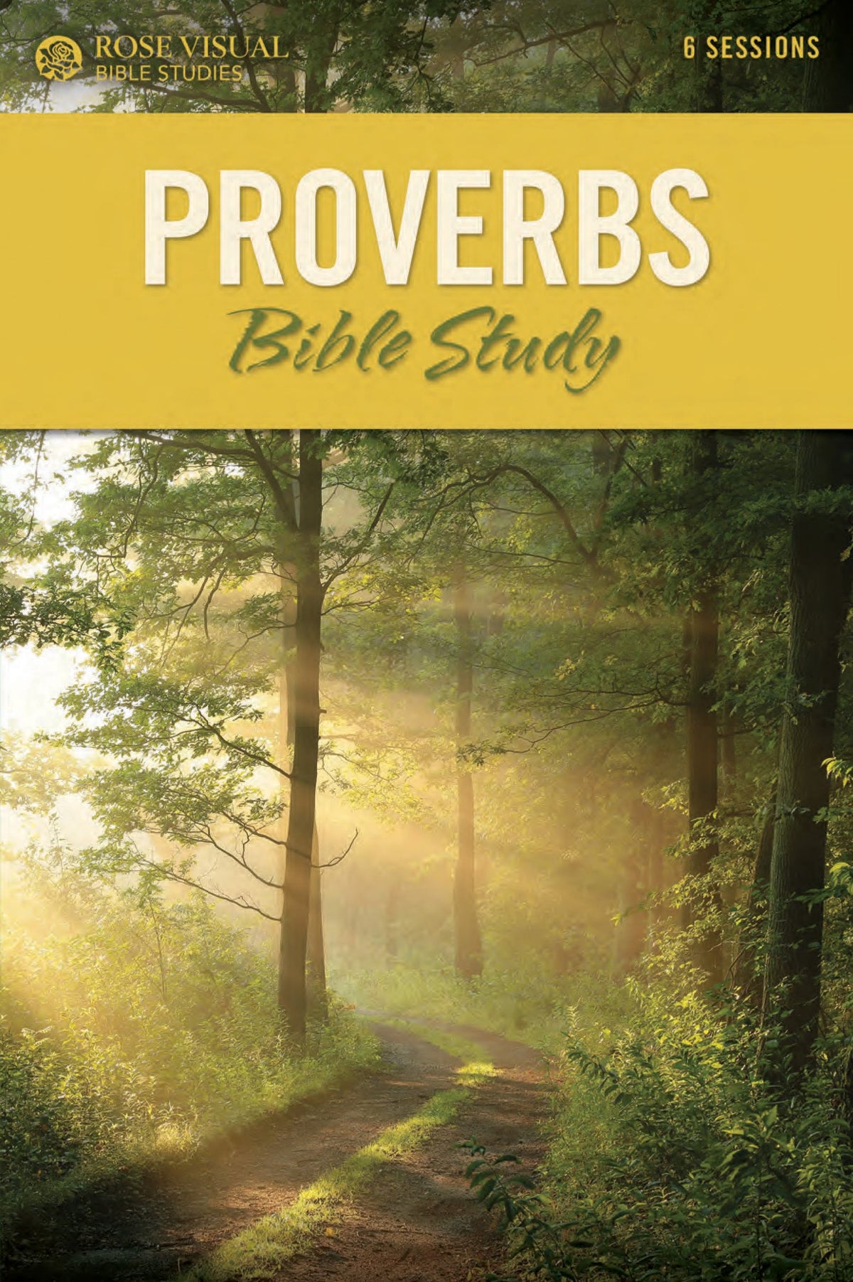 Proverbs Bible Study (Rose Visual Bible Studies) by Tyndale