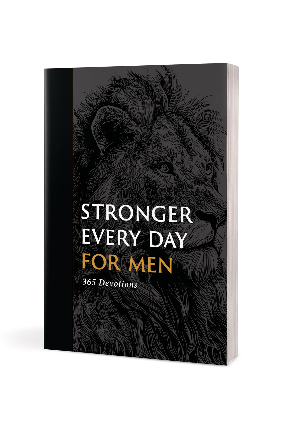 Stronger Every Day for Men by Tyndale, product view 3