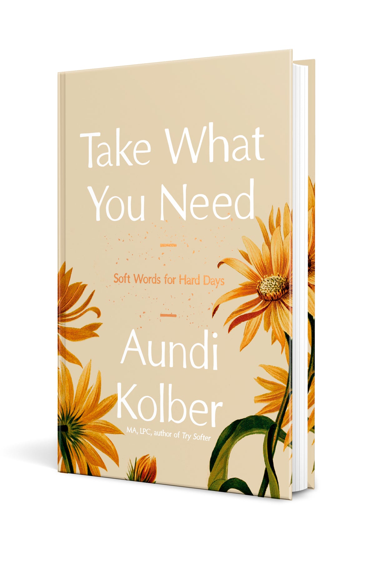Take What You Need by Tyndale, product view 3