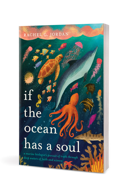 If the Ocean Has a Soul by Tyndale, product view 3