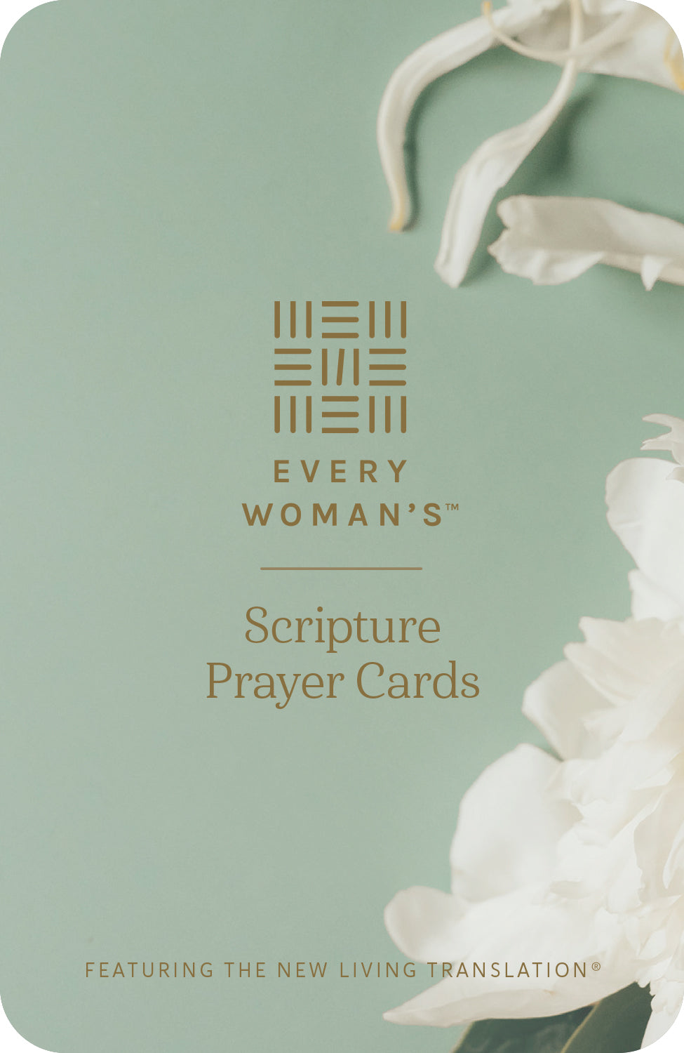Every Woman’s Scripture Prayer Cards by Tyndale