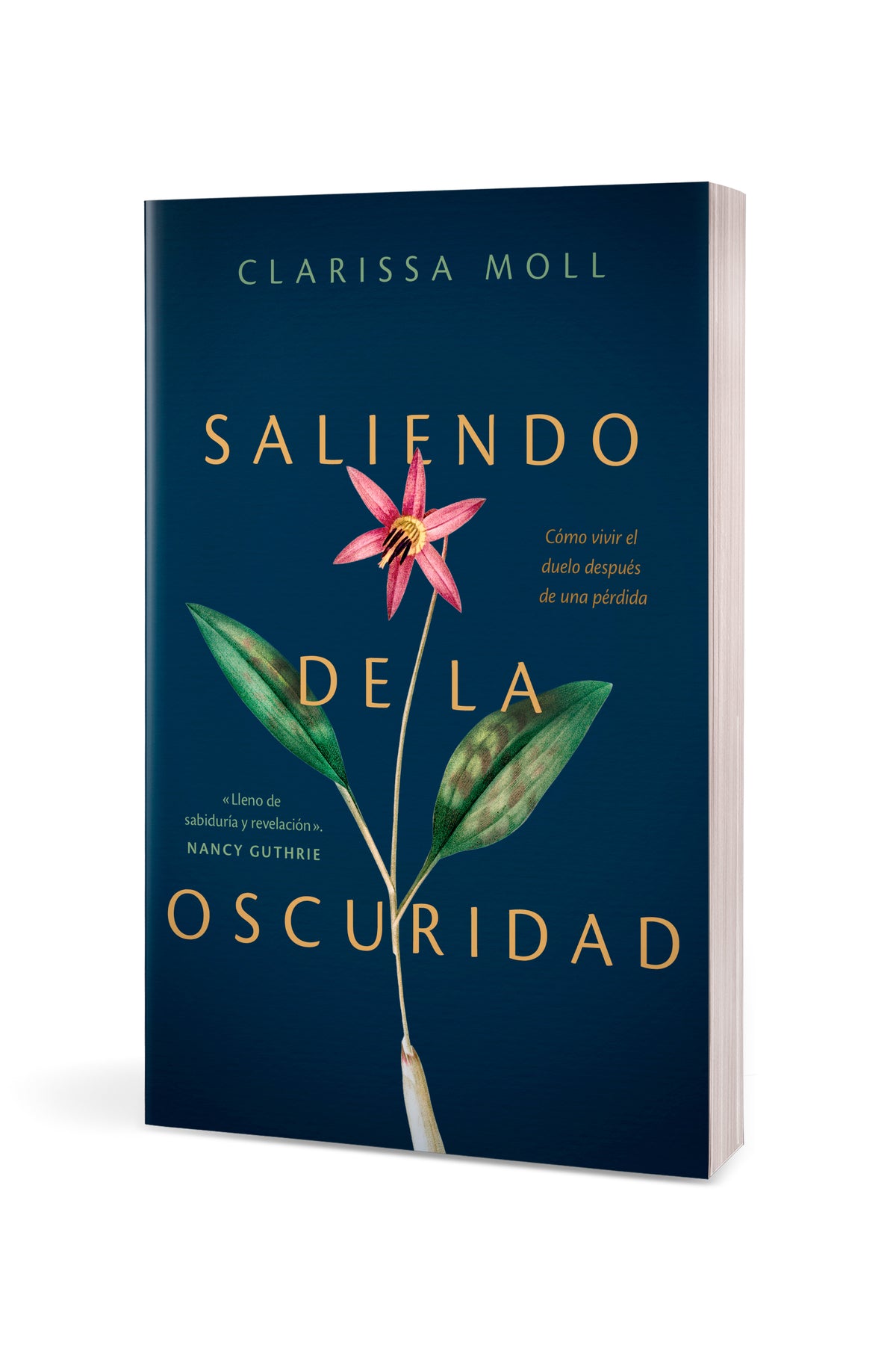 Saliendo de la oscuridad by Tyndale, product view 3