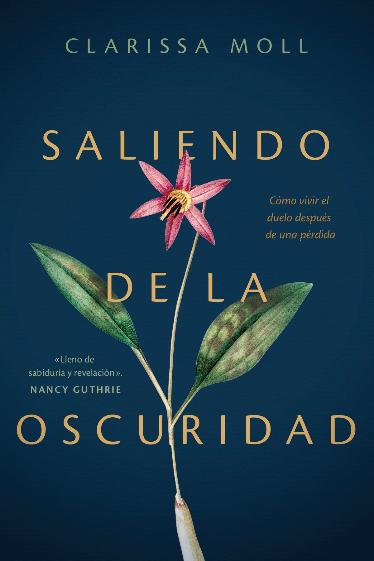 Saliendo de la oscuridad by Tyndale