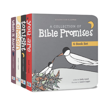 A Collection of Bible Promises 4-Book Set: When It Hurts / You Are / Tonight / Chosen by Tyndale, product view 3