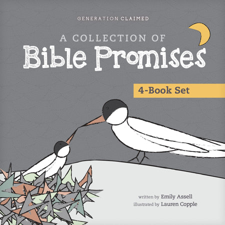 A Collection of Bible Promises 4-Book Set: When It Hurts / You Are / Tonight / Chosen by Tyndale