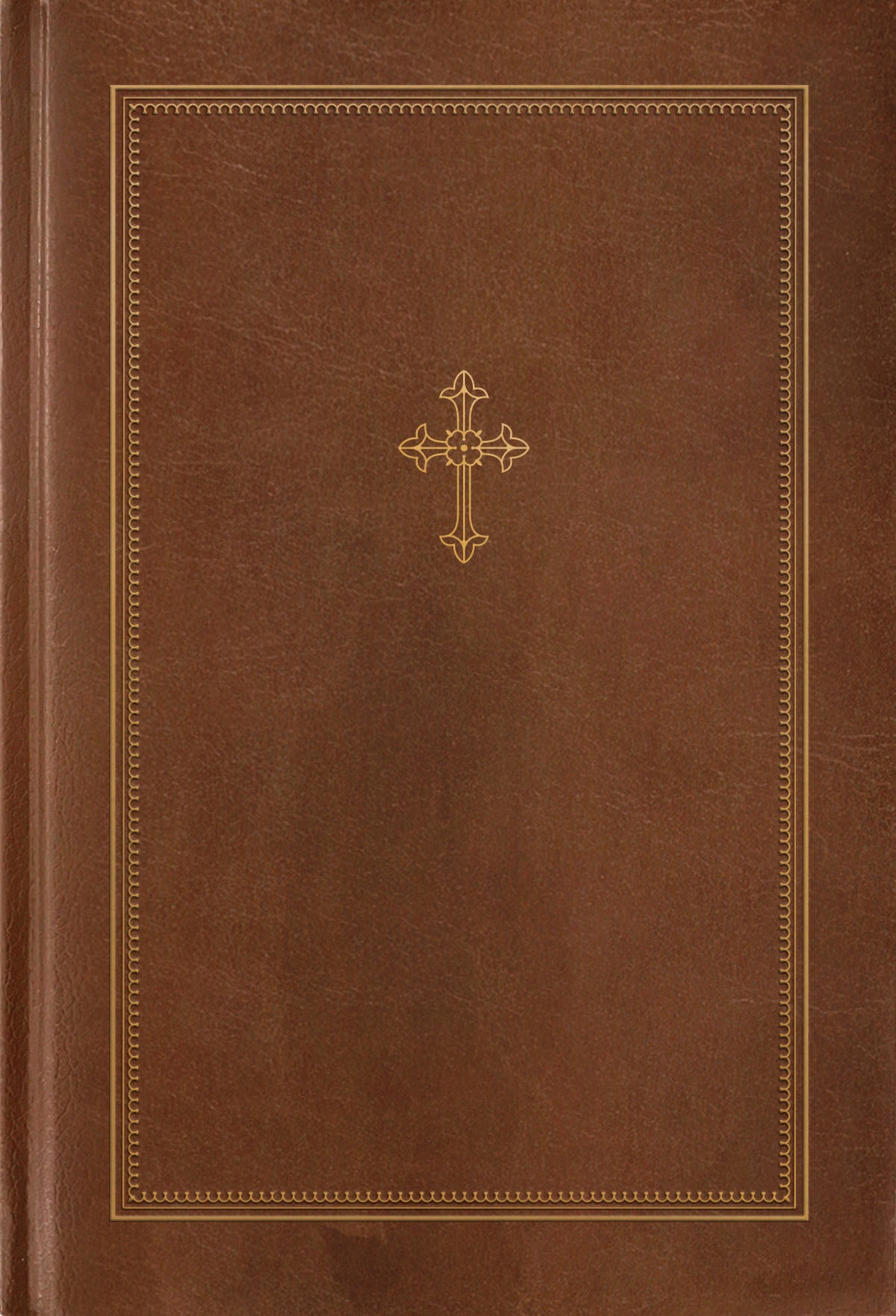 NLT Catholic Holy Bible, Gift Edition by Tyndale, product view 2
